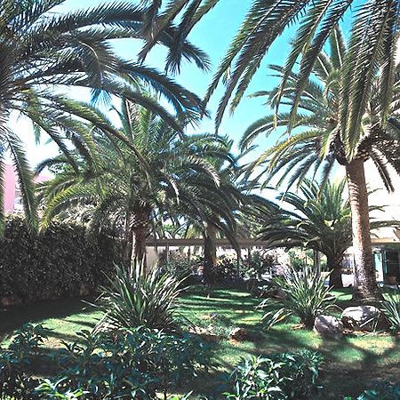 סנטה פונסה Hotel Palmira Isabela מראה חיצוני תמונה