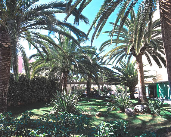 סנטה פונסה Hotel Palmira Isabela מראה חיצוני תמונה